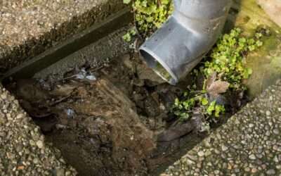 How Often Should I Clean My Drains?