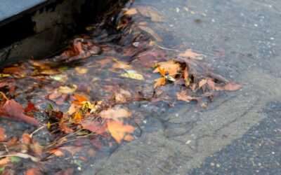 Save Money and Hassle in the UK with Drain Maintenance