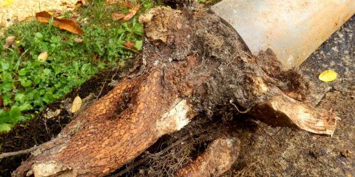 Drain Repairs London & Hertfordshire